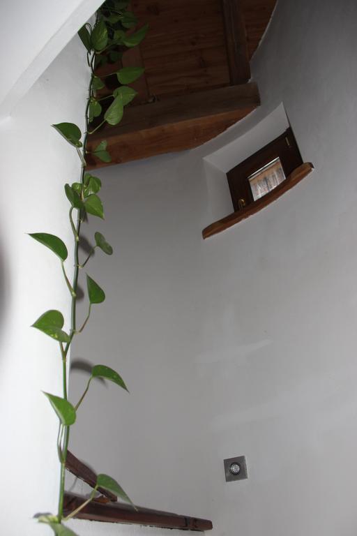 Villa La Tour Nus Dış mekan fotoğraf